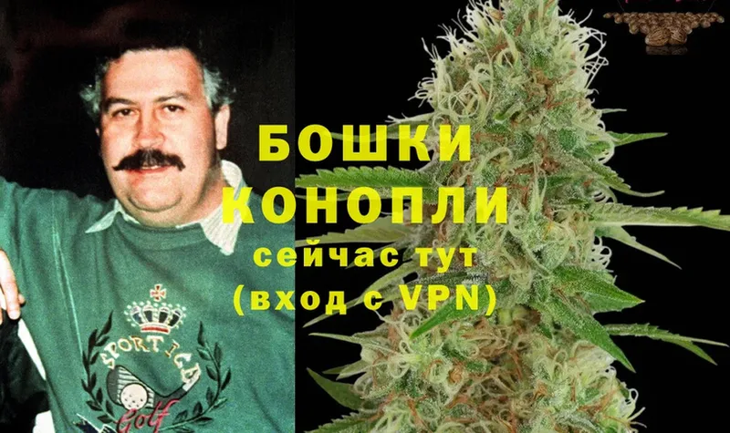 Бошки марихуана THC 21%  мега вход  Мензелинск 